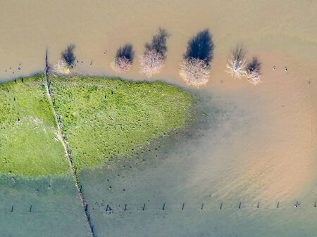 Flooded river landscape with submerged floodplains along river Lek in March near  the village of Ravenswaaij, Gelderland, Netherlandsの写真素材