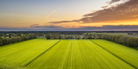 Aerial view of agricultural meadow landscape with tree windbreaks near Wezup in Drenthe, Netherlands
