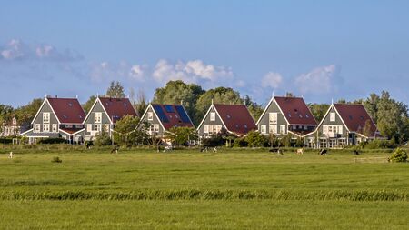 Row of traditional wooden houses in agricultural landscape near Leeuwarden, Netherlands.