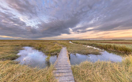 Boardwalk in Tidal Marshland nature reserve Drowned land of Saeftinghe in Province of Zeeland. Netherlandsの写真素材