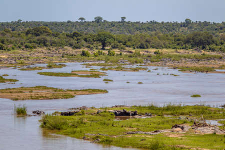 Olifants river from H1 in Kruger national park South Africaの写真素材