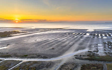 Aerial view over salt marsh plains on the Wadden Sea coast. Uithuizen, Groningen Province.の素材 [FY310177615701]