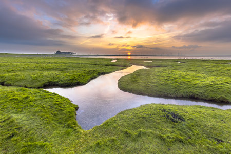 Land reclamation in the tidal marsh mud flats of the Punt van Reide in the Wadden sea area on the...