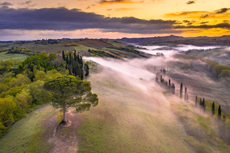 Dreamy landscape with rolling hills, cypress trees and morning fog at sunrise in Tuscany, Italy, April.の写真素材