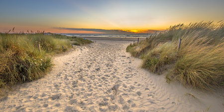 Landscape view of sand dune on the North sea coast at sunset near Wijk aan Zee, Noord Holland Province, the Netherlands. Landscape scene of european nature.の写真素材
