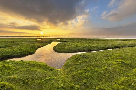Erosion holes in grassland of tidal marsh of Dollard at the Punt van Reide in the Waddensea area on the Groningen coast in the Netherlandsの写真素材