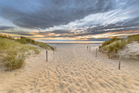 Landscape view of sand dune on the North sea coast at sunset near Wijk aan Zee, Noord Holland Province, the Netherlands. Landscape scene of european nature.の写真素材