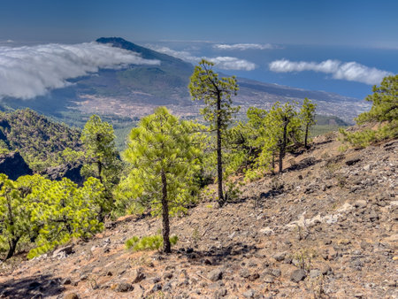 Trekking in Volcanic Landscape along Ruta de los Volcanes, beautiful hiking path over the volcanoes on La Palma Island, Canary Islands, Spain. Landscape Scene of Nature in Europe.の写真素材