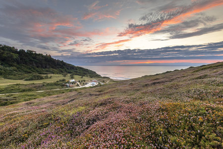 Sunset over Erretegia Bay. Beach on French Basque coast at  Belvedere de Bidart. Natural Coastal vegetation. Biarritz, Bay of Biscay, France. Landscape Scene of Nature in Europe.の写真素材
