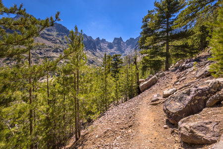 Walking track in Asco river gorge with view on Cinto mountain in Haute Corse on Corsica island, Franceの写真素材