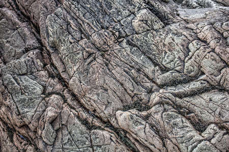 Rock face formations on NTS Rough Island between Rockcliffe and Kippford, Dumfries and Galloway,...
