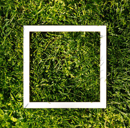 Creative copyspace with white paper frame on grass. Minimal flat lay. Nature spring concept.の写真素材