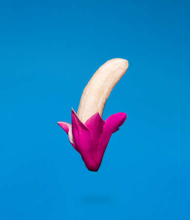 Food creative composition made of half peeled banana and pink magnolia flower or tulip on blue background. Minimal spring levitation concept.の写真素材