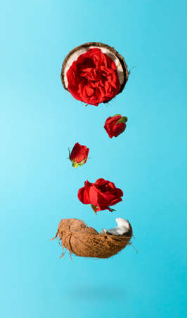 Fresh ripe and cracked coconut with red rose flowers are flying in the air. Tropical summer concept