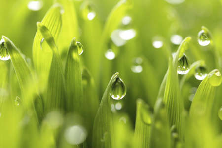 water drops water drops