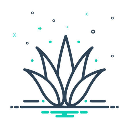 Icon for agave,plantのイラスト素材