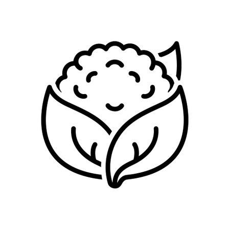 Icon for cauliflower,caloriesのイラスト素材