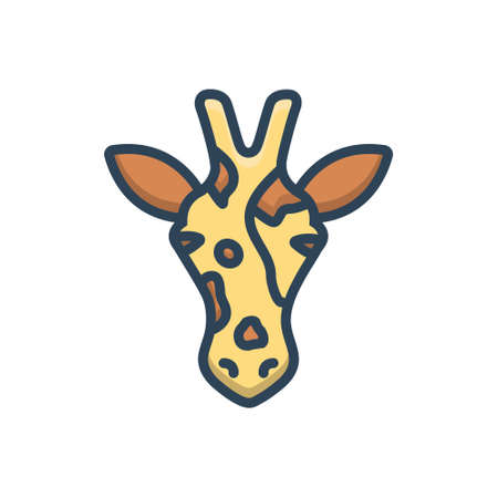 Icon for giraffe,giraffaのイラスト素材