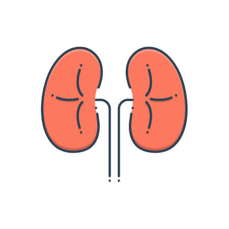 Kidneys iconのイラスト素材