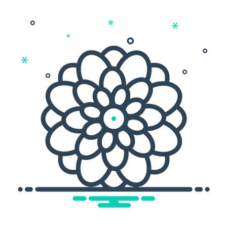 Icon for dahlia ,chrysanthemumのイラスト素材