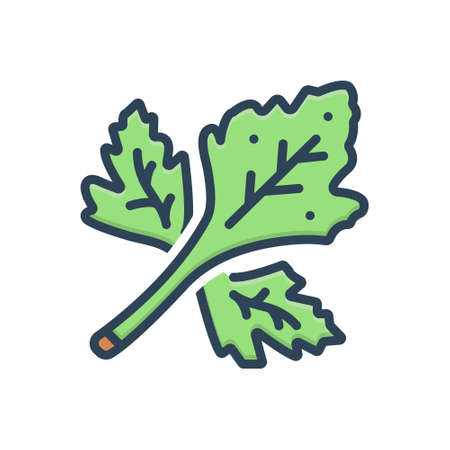 Icon for coriander,herbのイラスト素材