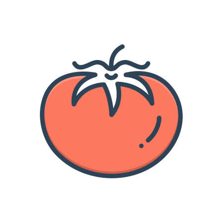 Icon for tomato,bunchのイラスト素材