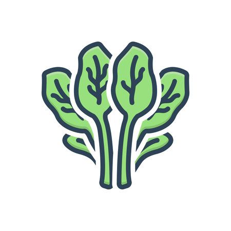 Icon for spinach,greenのイラスト素材