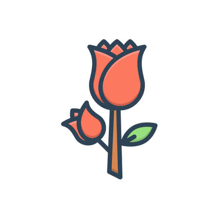 Icon for roseの写真素材