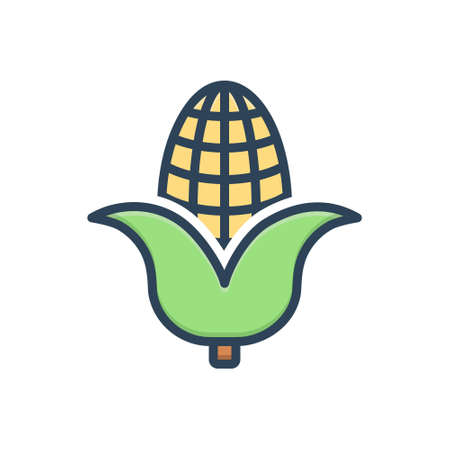 Icon for corn,maizeのイラスト素材