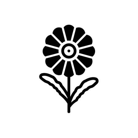 Icon for daisy,margueriteのイラスト素材