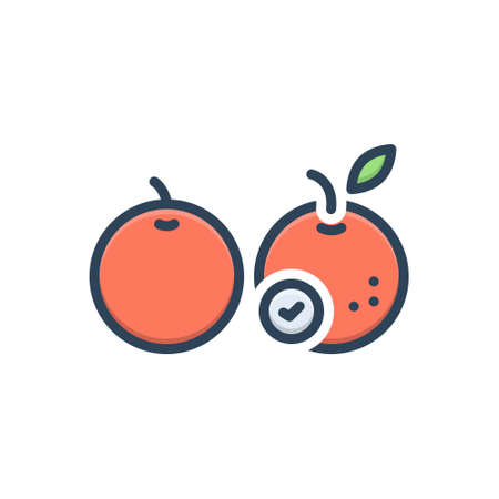 Icon for than,fruitのイラスト素材