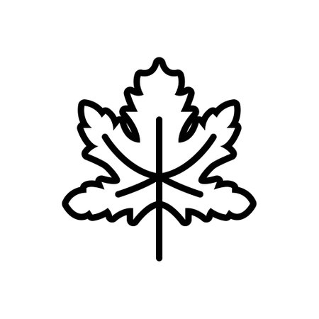 Icon for maple,leafのイラスト素材