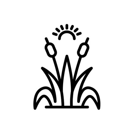 Icon for reed,sugarcaneのイラスト素材