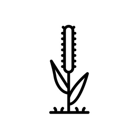 Icon for timothy,grassのイラスト素材