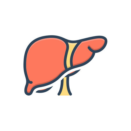 Icon for liver,organのイラスト素材
