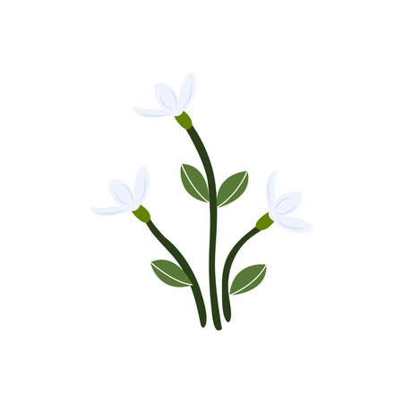 Icon for snowdrop, flowerのイラスト素材