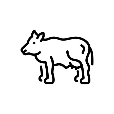 Icon for cow, animal husbandryのイラスト素材