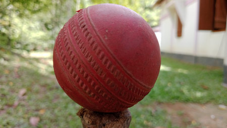 Close-up Red Rubber Cricket Ball Sports Equipment