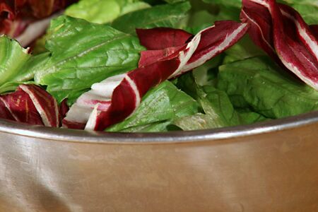 gourmet saladの写真素材