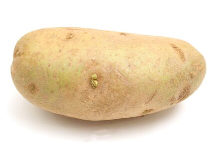single potato on whiteの写真素材