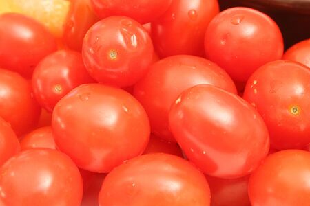 group of tomatoesの写真素材