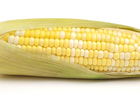 ear of corn on white upcloseの写真素材