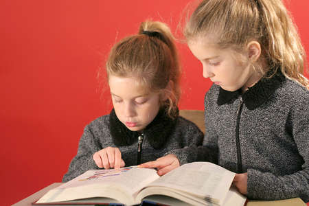 Two little girls studying togetherの写真素材