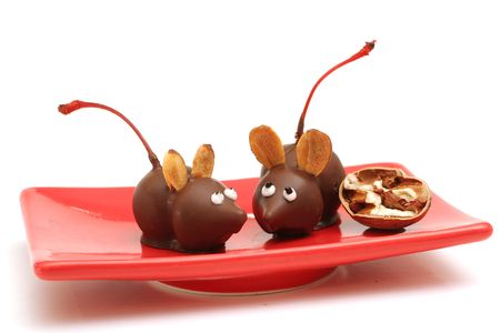 homemade chocolate miceの写真素材