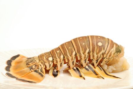 lobster side profileの写真素材