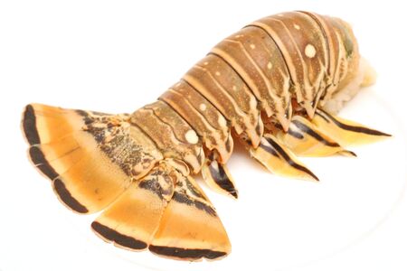 Florida lobster angleの写真素材