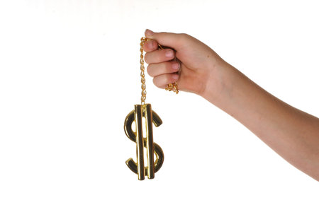 Dollar sign necklace centerの写真素材