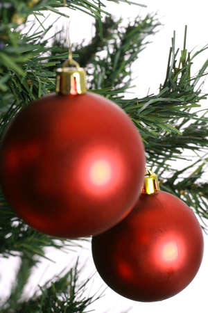 Two red christmas ornaments on tree on whiteの写真素材