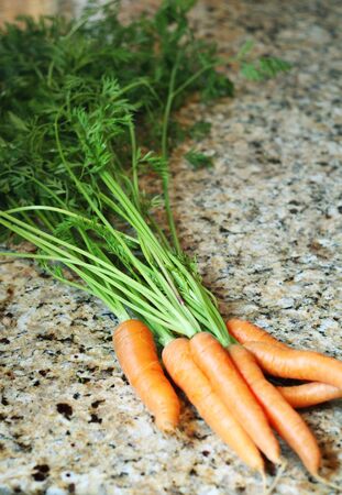 carrots from gardenの写真素材