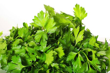 fresh parsley isolated on whiteの写真素材